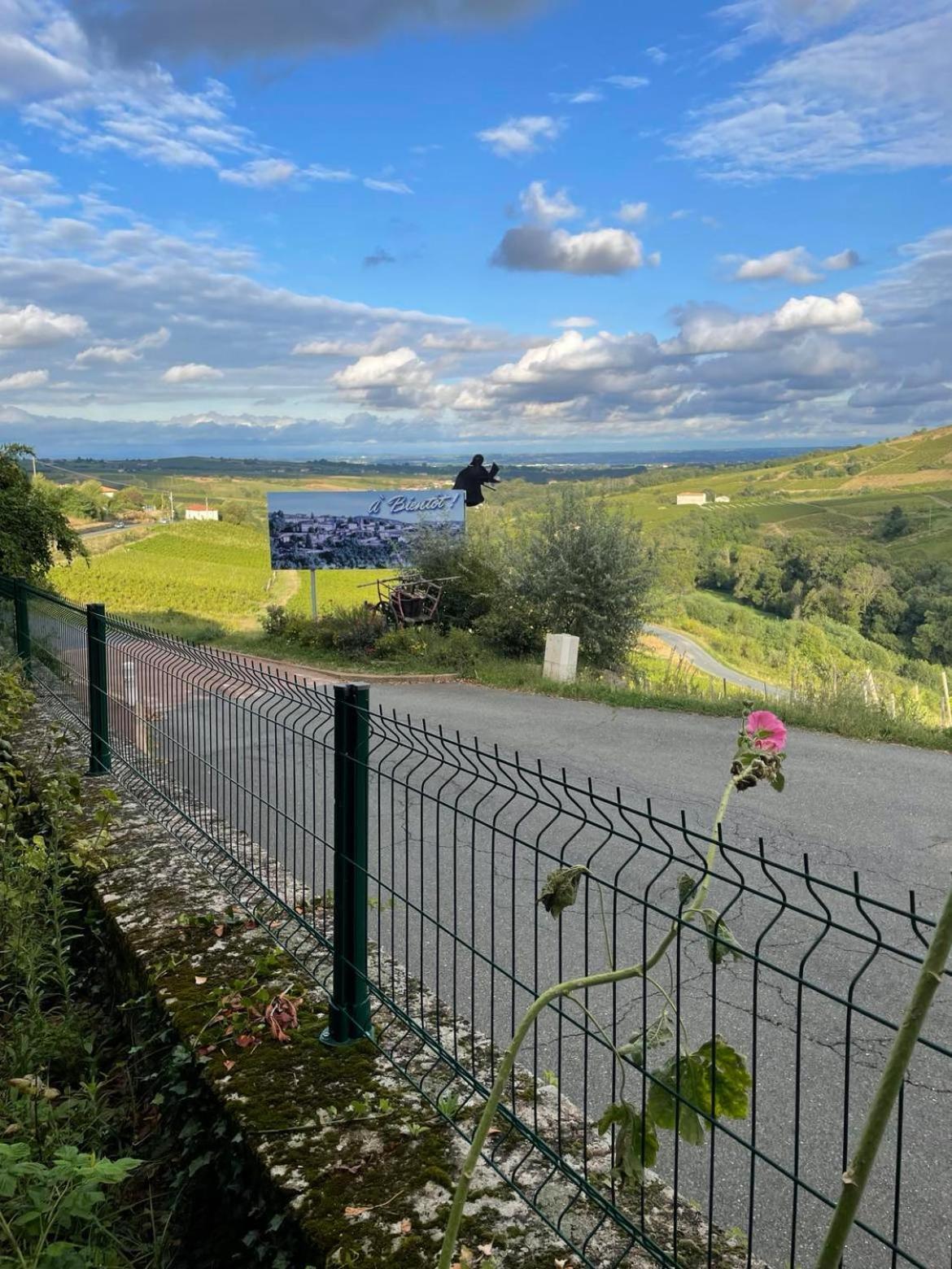 Les Agapanthes Bed & Breakfast Vaux-en-Beaujolais Luaran gambar